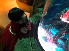 -沈阳海洋探索中心