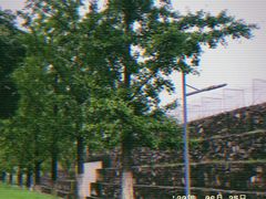 -炸串卷饼(北沈路店)