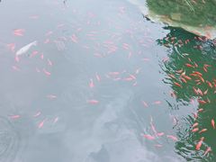-归元·云集斋素菜馆