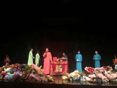 -合肥大剧院