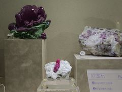 -安徽省地质博物馆