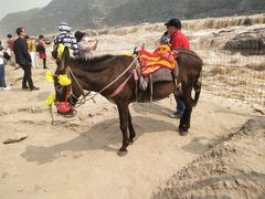 -陕西黄河壶口瀑布旅游区