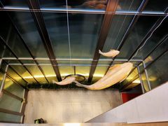 -红鼎豆捞·非遗鲍皇汤火锅(宝丰路店)