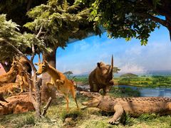 -国家自然博物馆