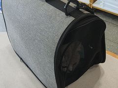 -宠颐生动物医院·全科·骨外科中心·利宠康分院