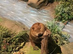 -陕西自然博物馆