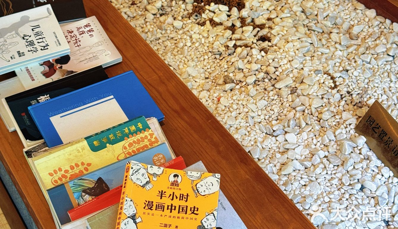 🍓如果有来生，要做一棵树，站成永恒。三毛印记