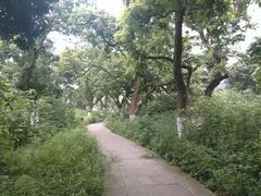 -张坝桂圆林公园