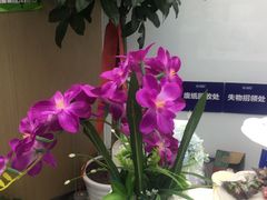 -新航道雅思托福·留学·考研培训(人民广场校区)