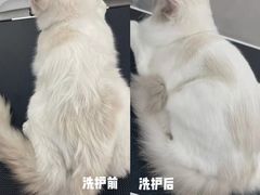 -comecome来吧宠物(奥克斯中心店)