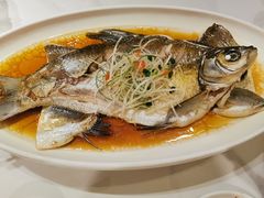 -刘胖子家常菜·蹄花焖藕(中南店)