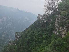 -神农山景区