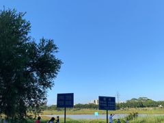 -风云岭森林公园