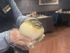 -肆月河豚·新淮扬(金融街店)