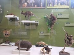 -国家自然博物馆