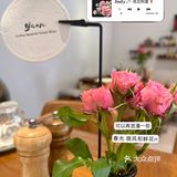 🍽️Yuan餐厅，聊天小憩的宝藏地！