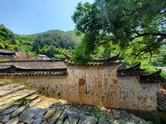 -杨家堂村