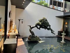 -觀芷隐轩