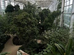 -祥源·阜阳生态乐园