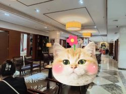 -深圳阳光医疗美容医院·旗舰店