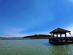 -南大港湿地风景区