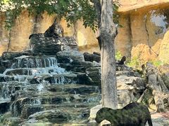 -北京野生动物园