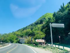 -王顺山国家森林公园