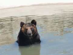 -鄂尔多斯野生动物园