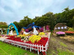 -上海共青森林公园