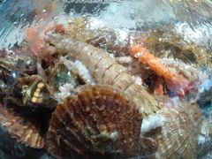 -大锅强·蒸海鲜青岛菜(吾悦广场店)