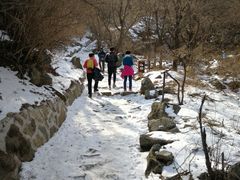 -阳台山自然风景区