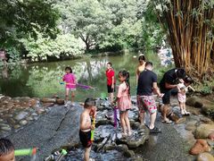 -成都市活水公园
