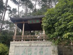 -千岛湖东南湖区