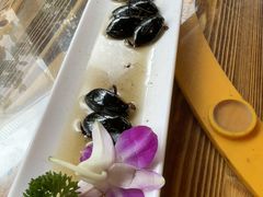 -美未居·老字号·地道顺德菜·桑拿鸡·鱼生(容桂店)