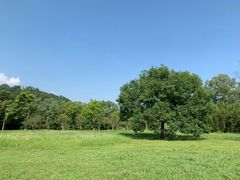 -福建鲤鱼洲酒店