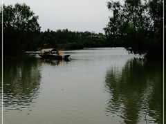 -大湾区中央湿地公园