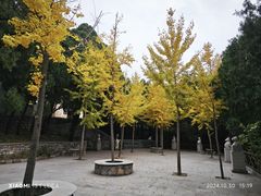 -四门塔风景区