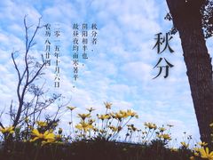 -上海滴水湖皇冠假日酒店