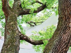 -湖北美术学院(昙华林校区)