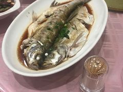 清蒸鲜白鱼-西新饭店(城中店)