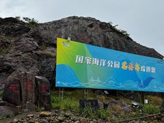 -花岙岛