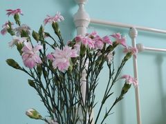 -恒大翰城瀚锦苑