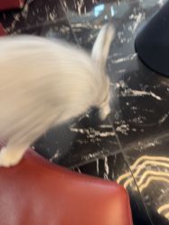-TOP HAIR SALON