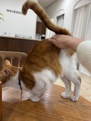 -WAVE SODA摄影工作室