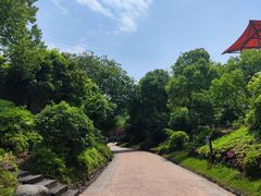 -杭州开元森泊度假乐园