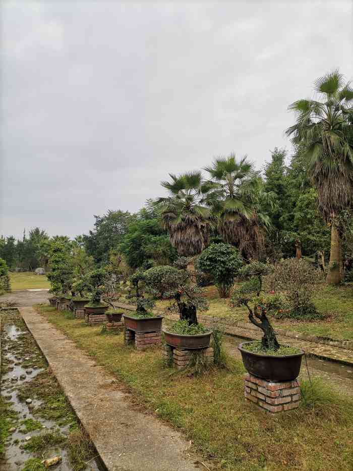 崇州月季花园-"今天临时起意去逛了下,没想到里面还是有很.