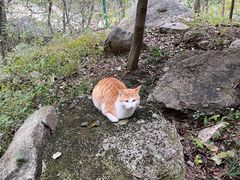 -崂山巨峰游览区