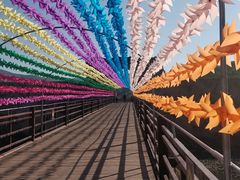 游乐设施-世界恐龙谷景区