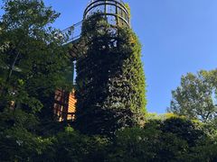 -三鹰之森吉卜力美术馆