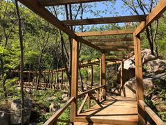 -大岭沟猕猴桃谷风景区